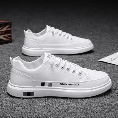 gid://shopify/MediaImage/24691967066206